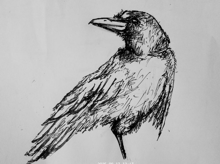 দীর্ঘ শ্বাস । সুলতানা শান