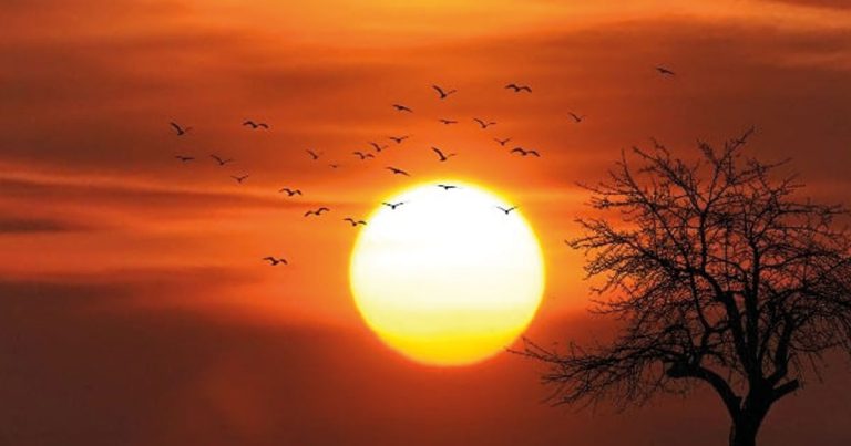 একটি সুন্দর সকালের প্রত্যাশায়