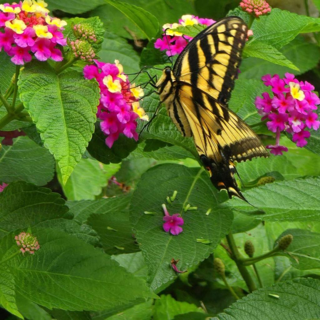 ফটোগ্রাফি : সেপ্টেম্বর ২০২৬
