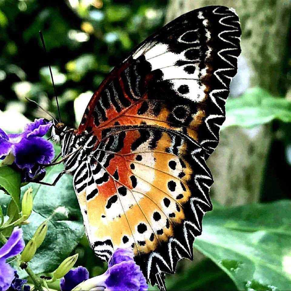 ফটোগ্রাফি : সেপ্টেম্বর ২০২৬