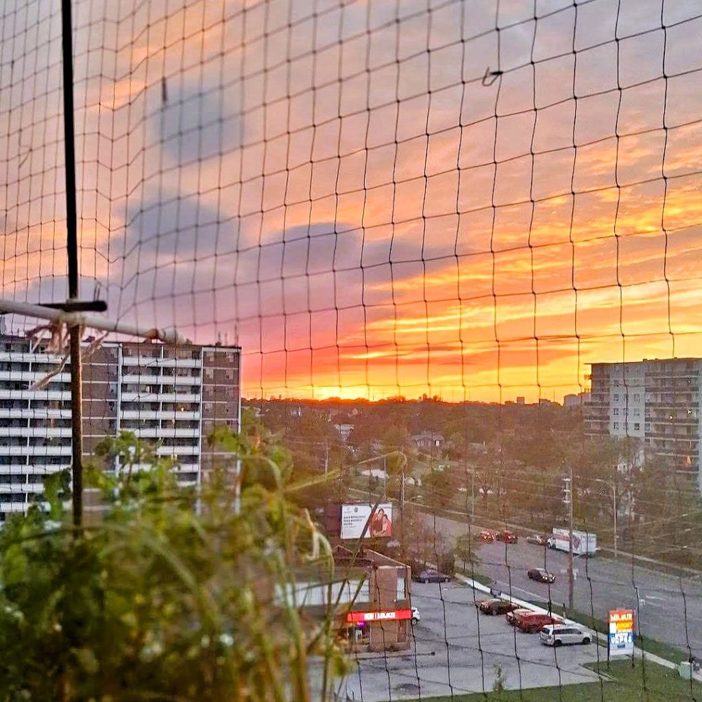 ফটোগ্রাফি : সেপ্টেম্বর ২০২৬