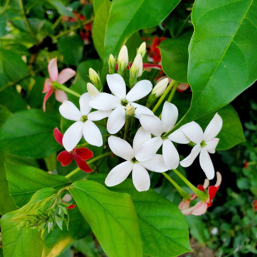 ফটোগ্রাফি : সেপ্টেম্বর ২০২৬